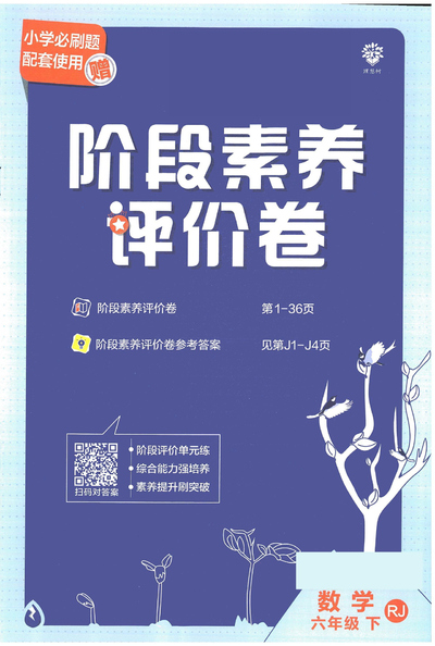 六年级下册数学小学必刷题阶段素养评价卷（42页） - 少儿专区