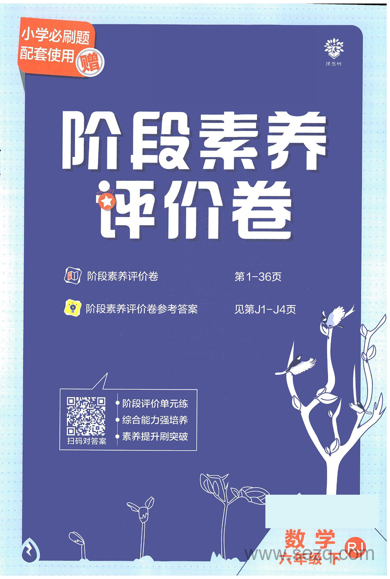 六年级下册数学小学必刷题阶段素养评价卷 - 文档资源第1张