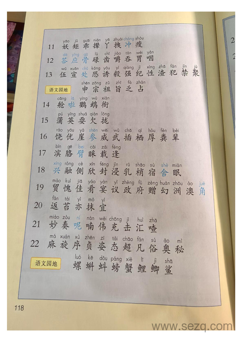 2025年新版三年级上册语文识字表写字表词语表（预习） - 文档资源第2张