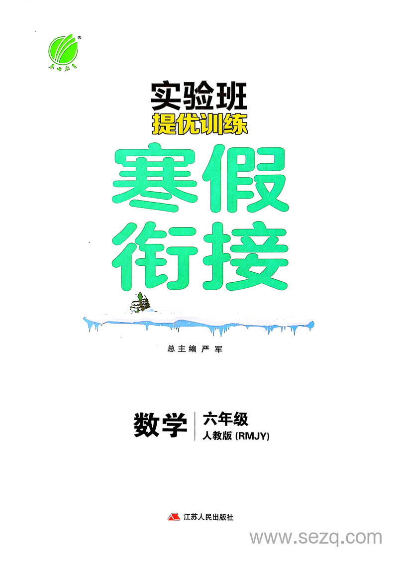 2025年六年级下册数学寒假衔接（实验班人教版） - 文档资源第3张
