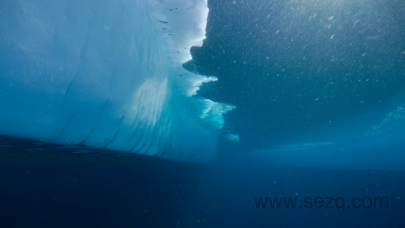 我们的生物世界 - 动画资源画廊第4张
