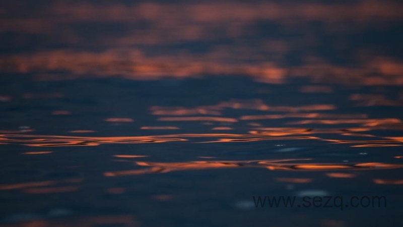 章鱼的秘密 - 动画资源画廊第9张