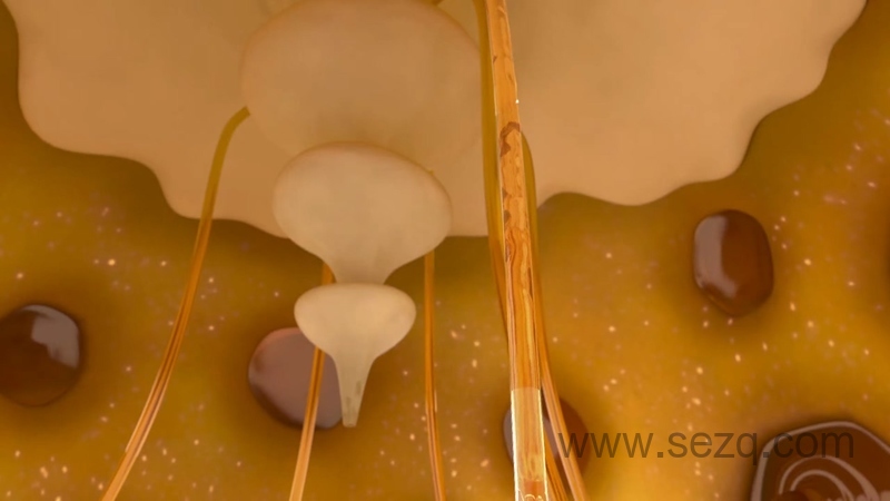 臭屁虫之宝宝驾到 - 动画资源画廊第4张