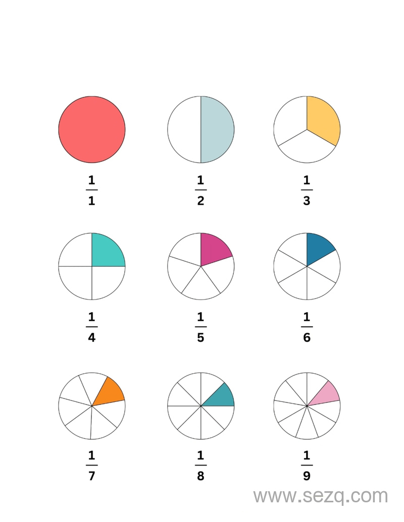 2025年三年级上册数学分数的初步认识 - 文档资源第2张