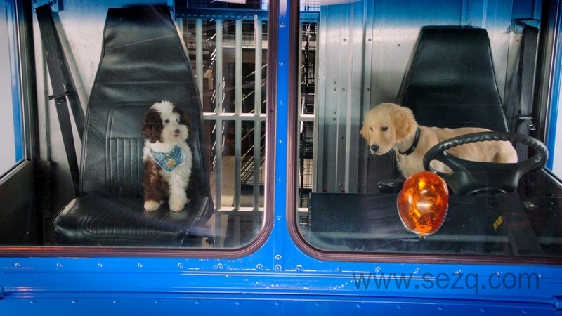 狗狗学院 - 动画资源画廊第6张