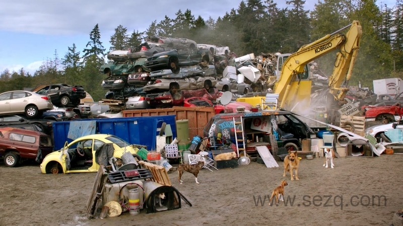 狗狗学院 - 动画资源画廊第3张