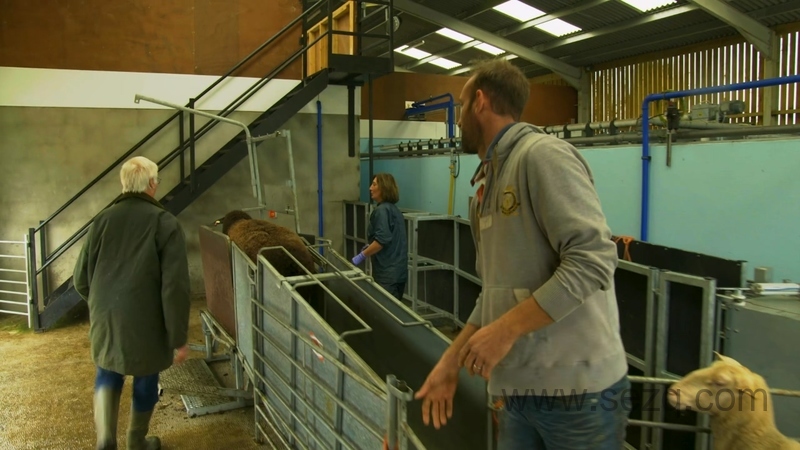 拖拉机泰德 - 动画资源画廊第5张