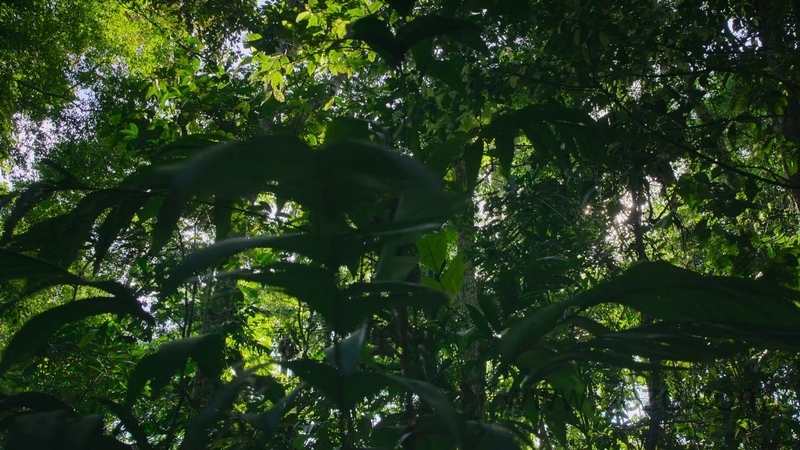 我们的生物世界 - 动画资源画廊第2张