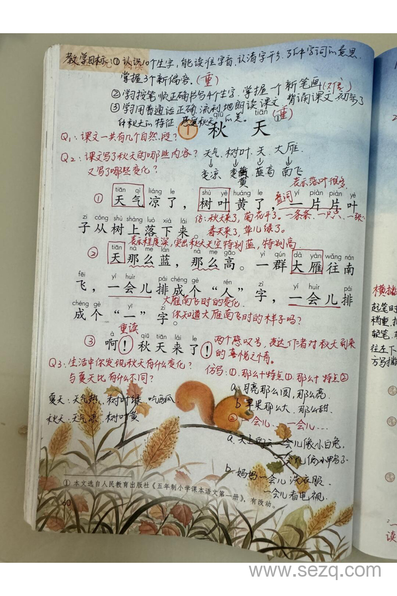 新版一年级上册语文第五单元课堂笔记 - 文档资源第1张