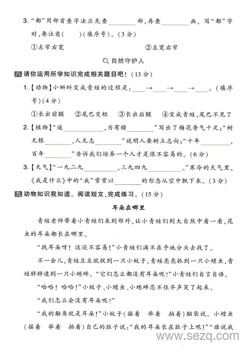 2025年二年级上册语文第一次月考拔尖测试卷（含答案） - 文档资源第3张