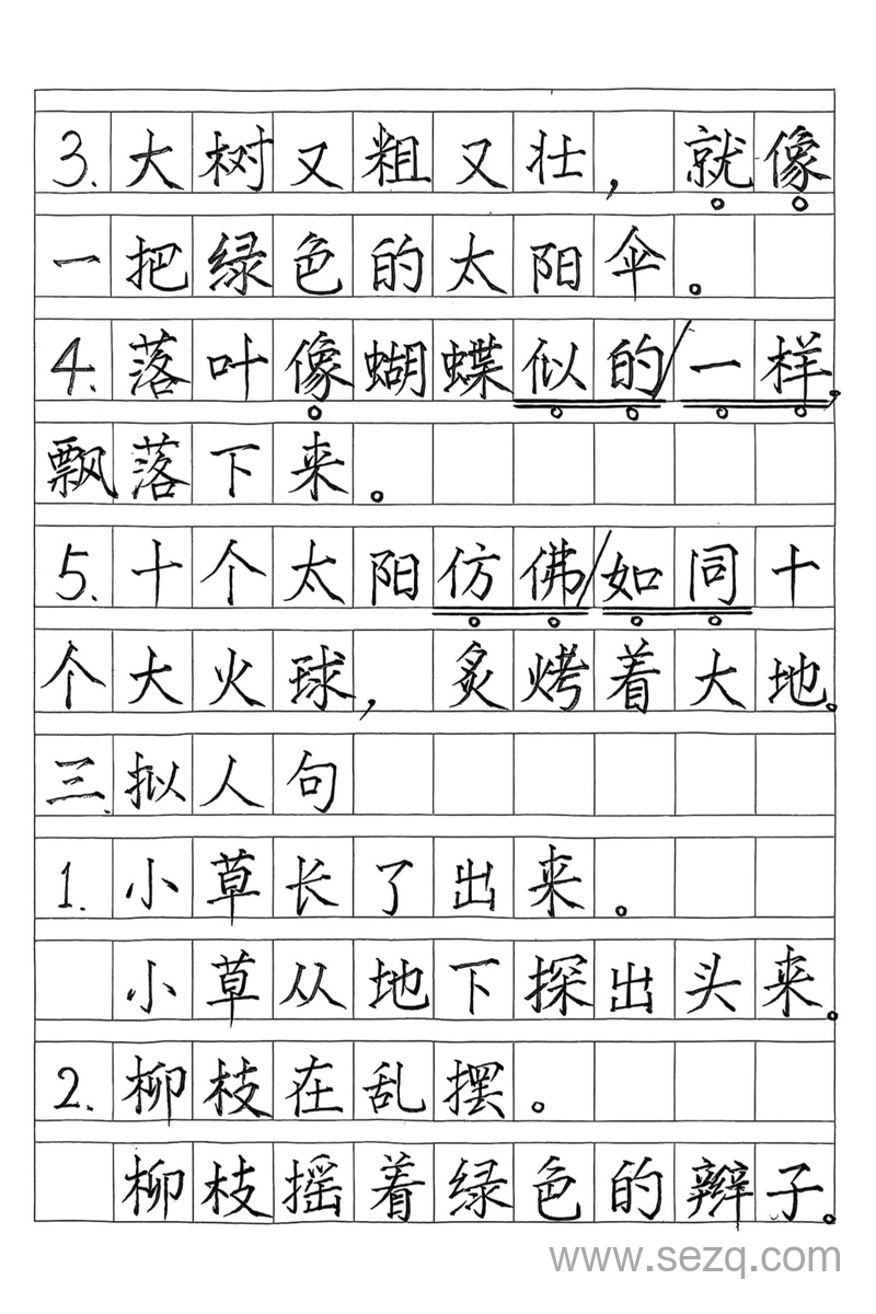 二年级下册语文期末复习常考句子专项梳理 - 文档资源第2张