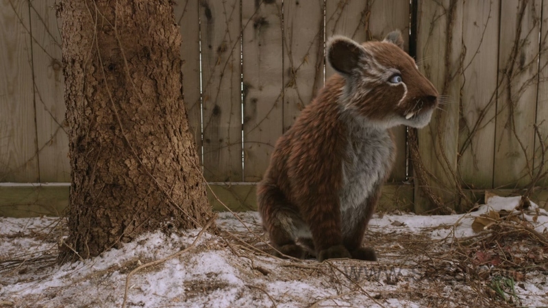 达娜的恐龙世界 - 动画资源画廊第2张