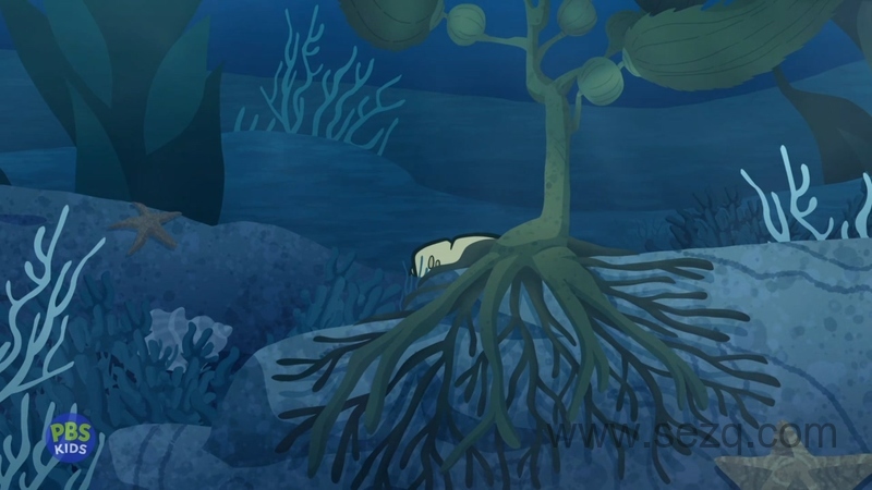 向往自由的猫 - 动画资源画廊第9张