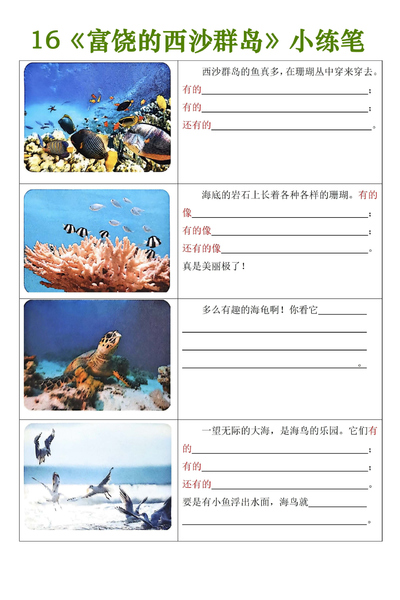 2025年三年级上册语文《富饶的西沙群岛》小练笔（4页） - 少儿专区