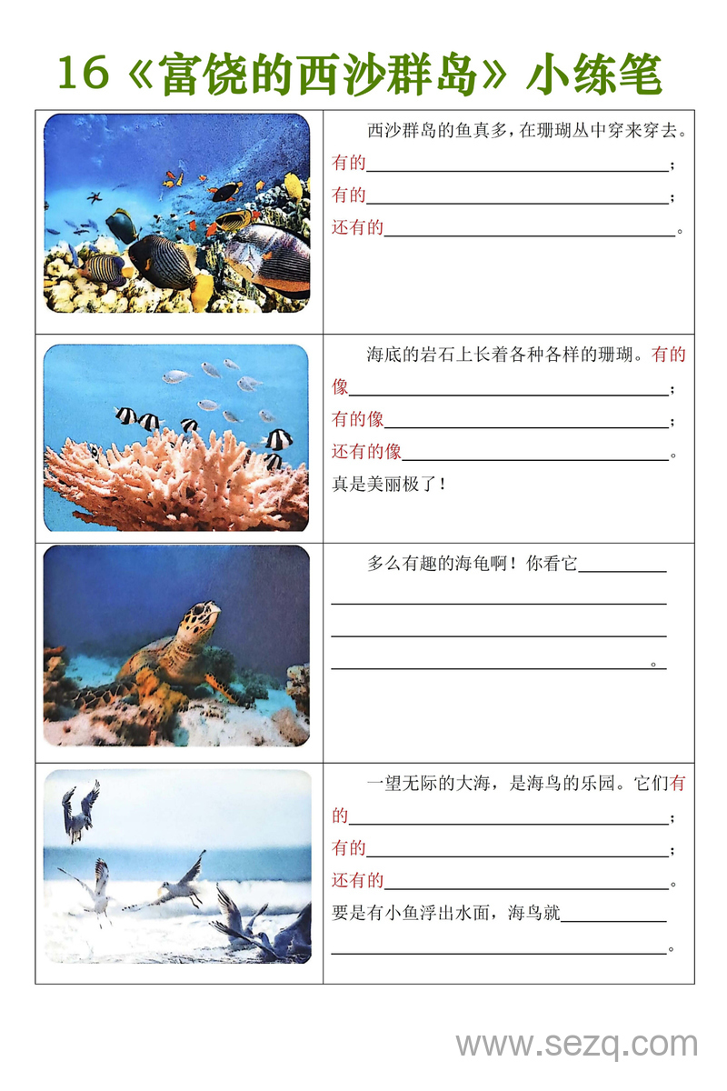 2025年三年级上册语文《富饶的西沙群岛》小练笔 - 文档资源第1张