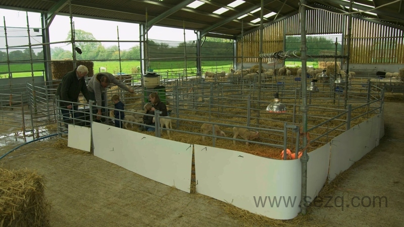 拖拉机泰德 - 动画资源画廊第6张