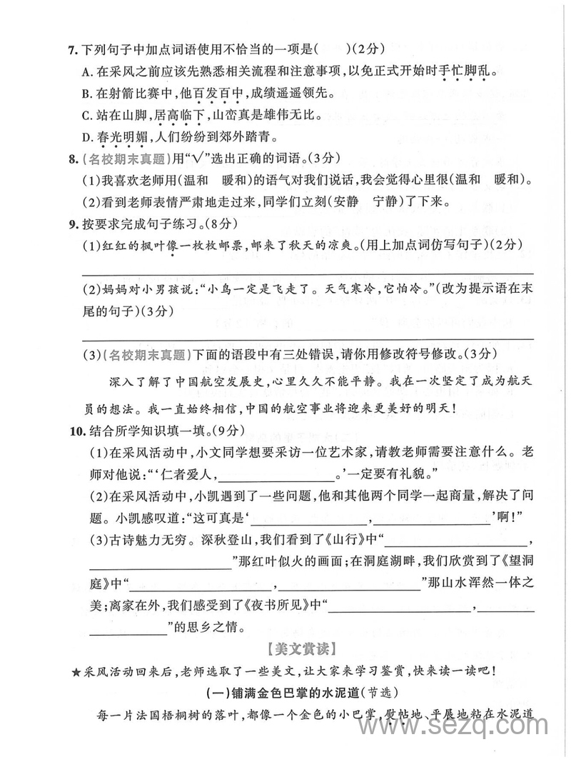 2025年三年级上册语文期中综合测试名校真题卷（含答题卡及答案） - 文档资源第2张