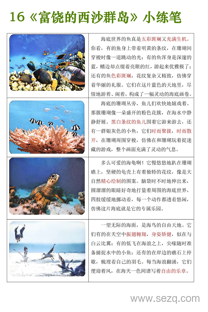 2025年三年级上册语文《富饶的西沙群岛》小练笔 - 文档资源第2张