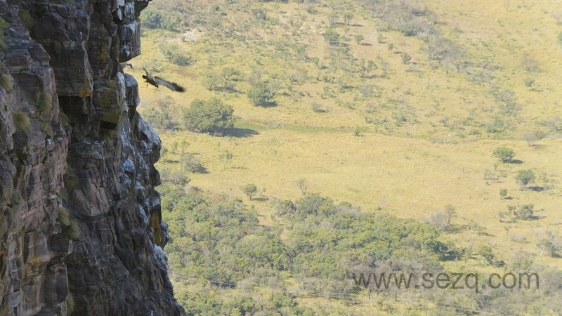 狂野地球 - 动画资源画廊第8张