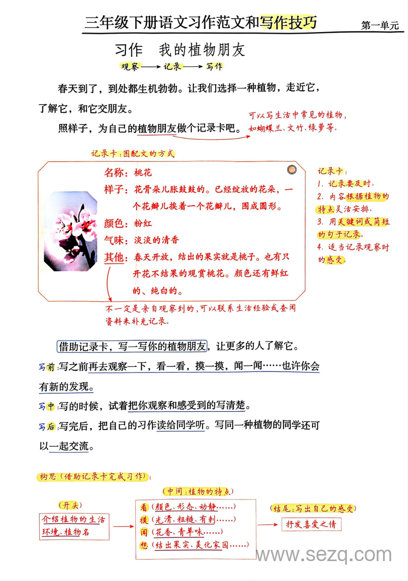 三年级下册语文习作范文和写作技巧（技巧点拨） - 文档资源第1张