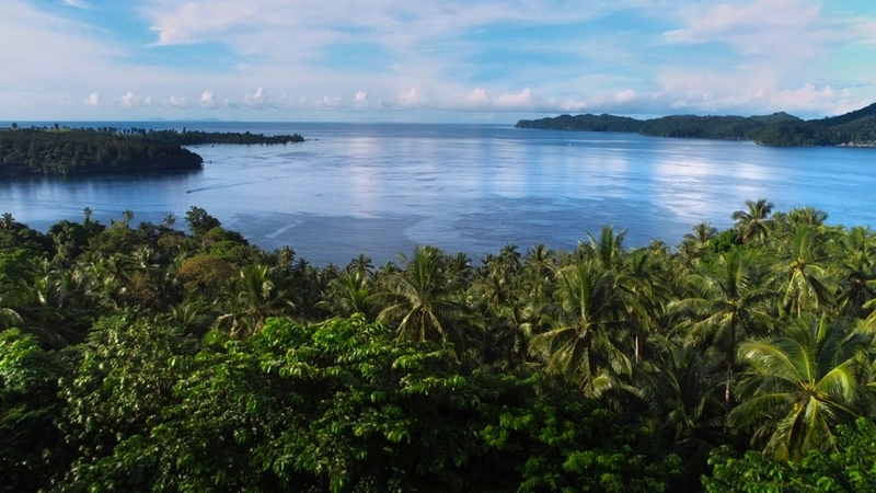 章鱼的秘密 - 动画资源画廊第5张