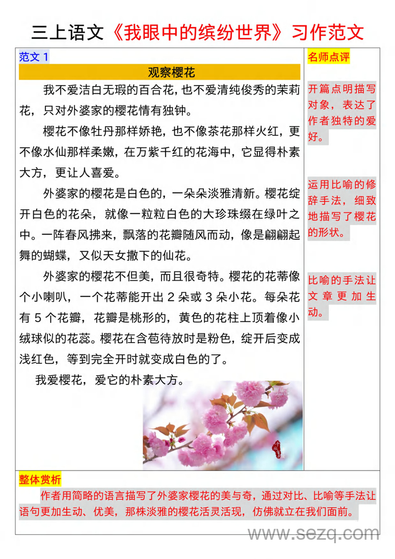 三年级上册语文第五单元习作范文10篇（我眼中的缤纷世界） - 文档资源第2张