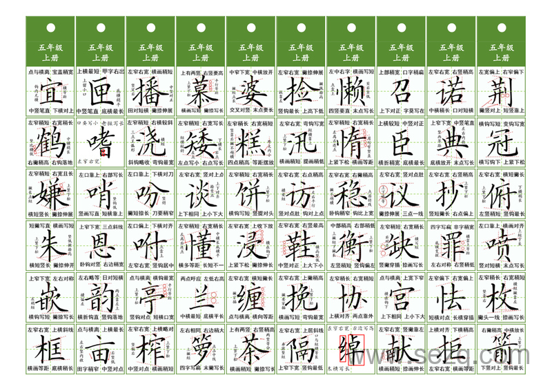 五年级上下册语文汉字书写同步精讲字卡 - 文档资源第1张