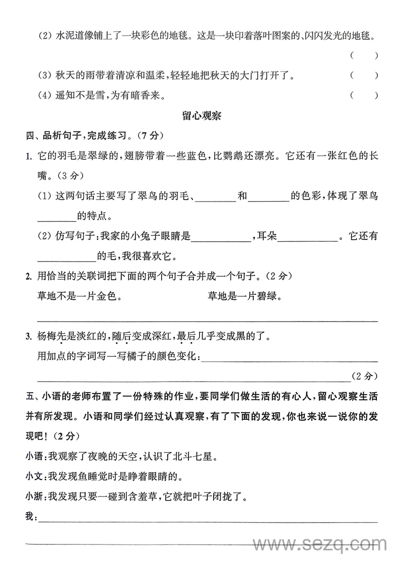 2025年三年级上册语文第五单元拔尖测试卷（含答案） - 文档资源第3张