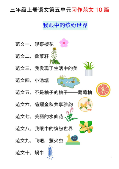 三年级上册语文第五单元习作范文10篇（我眼中的缤纷世界）（11页） - 少儿专区