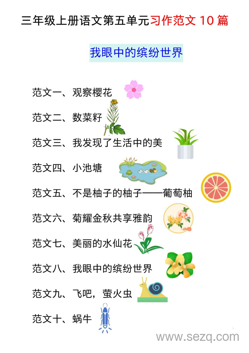 三年级上册语文第五单元习作范文10篇（我眼中的缤纷世界） - 文档资源第1张