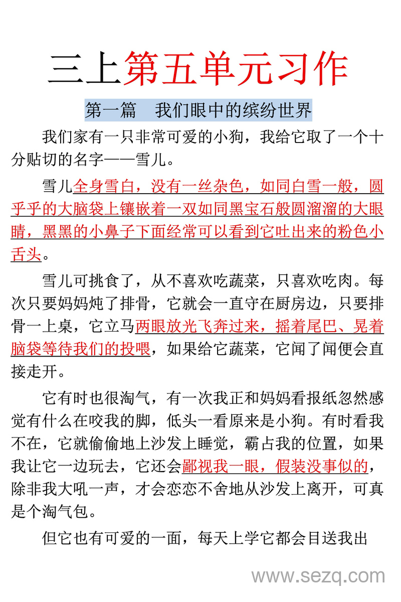 三年级上册语文第五单元习作《我们眼中的缤纷世界》范文 - 文档资源第1张
