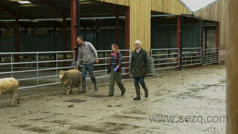 拖拉机泰德 - 动画资源画廊第4张