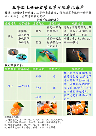 三年级上册语文第五单元观察记录单（含空白及答案）（14页） - 少儿专区