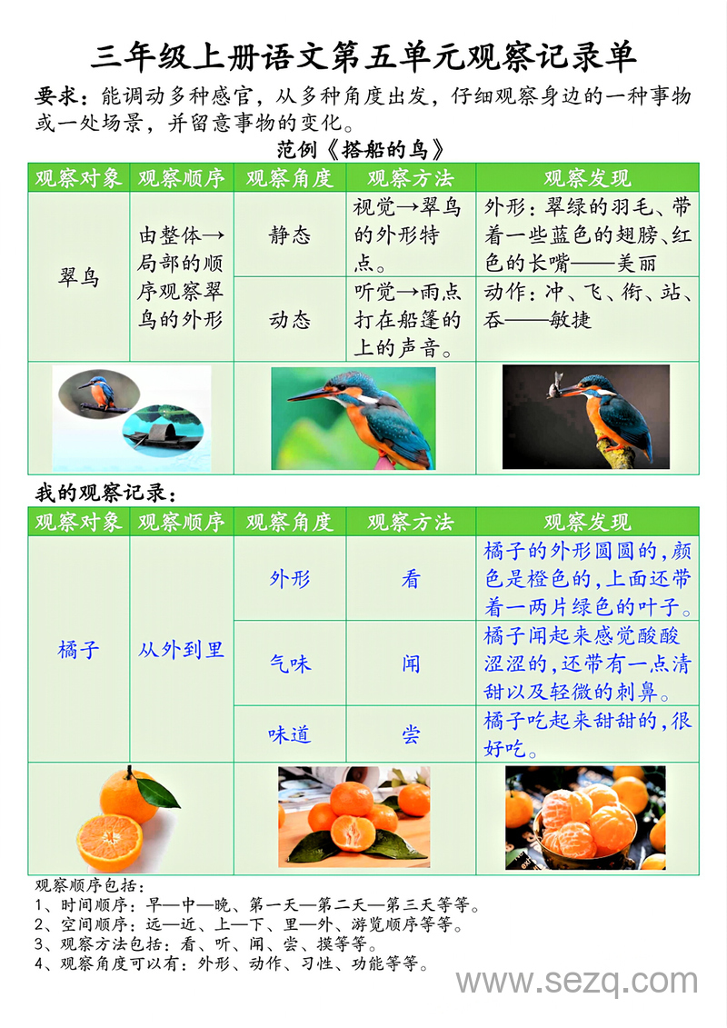 三年级上册语文第五单元观察记录单（含空白及答案） - 文档资源第1张