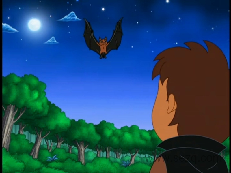 丛林小英雄迪亚哥 - 动画资源画廊第9张