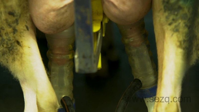 拖拉机泰德 - 动画资源画廊第2张