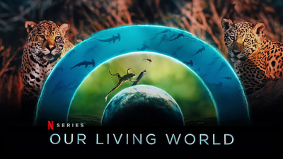 BBC科普片《我们的生物世界 Our Living World》第一季 英日法德等多语音轨(无国语)+多国字幕字 全4集MKV下载 - 少儿专区