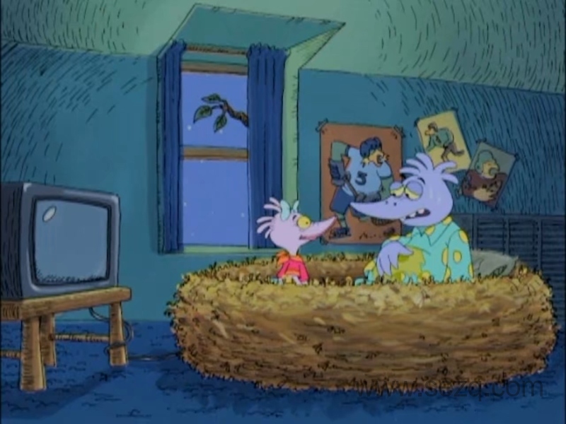 小鸟 - 动画资源画廊第4张