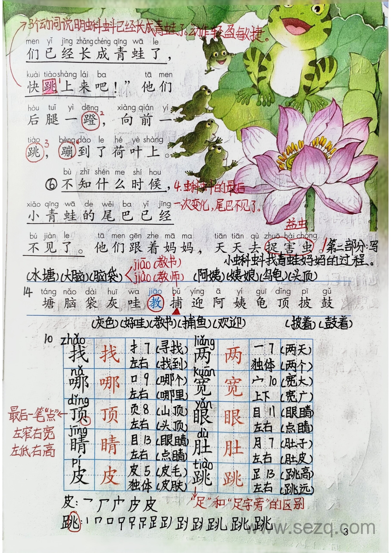 二年级上册语文课堂笔记（教师版全册1-8单元） - 文档资源第3张