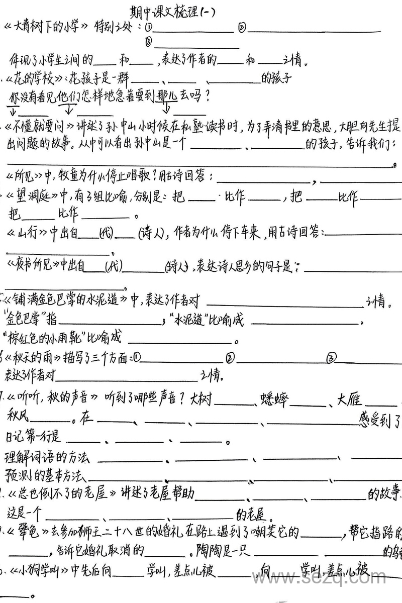 2025年三年级上册语文期中复习专项（老师手写版）含答案 - 文档资源第2张