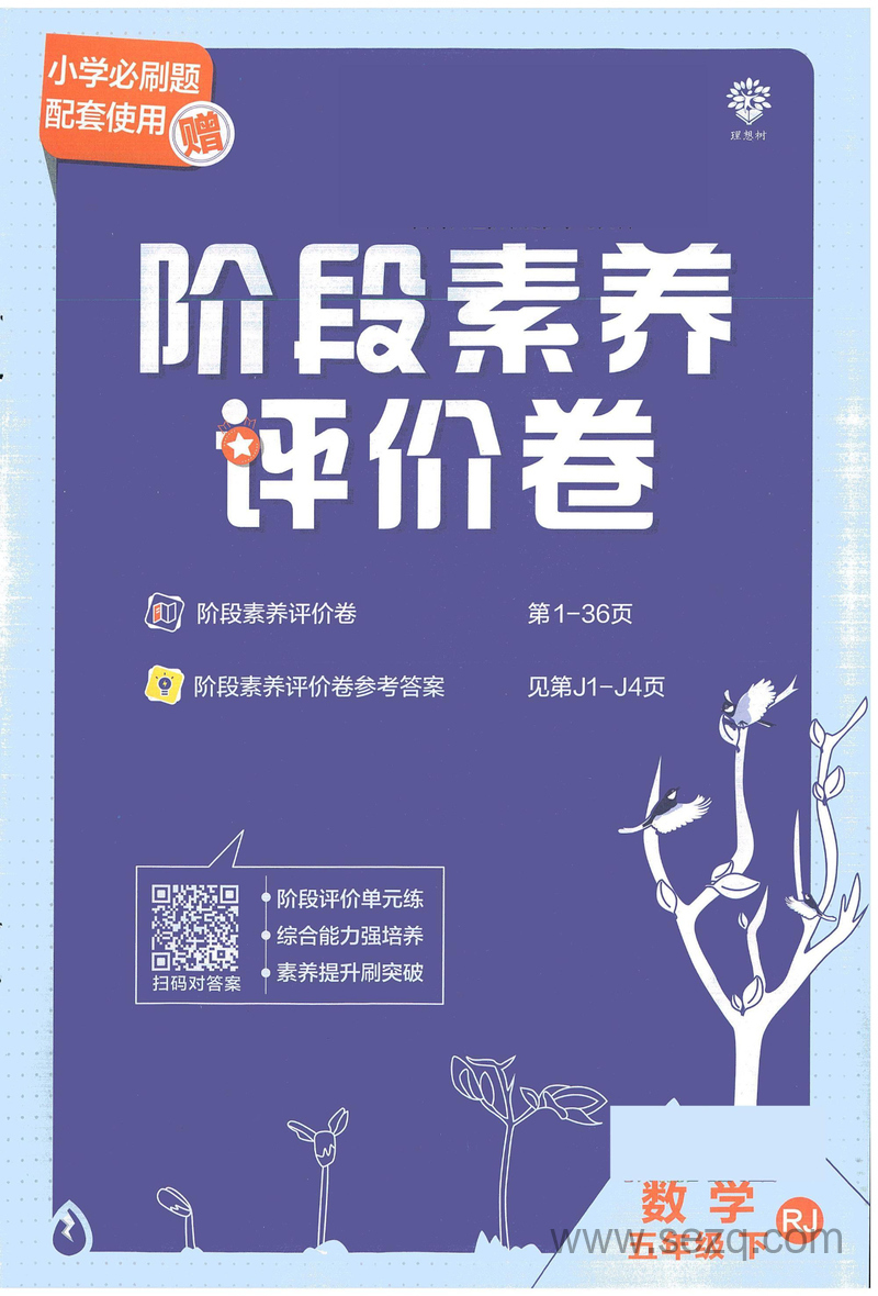 五年级下册数学阶段素养评价卷（含答案） - 文档资源第1张