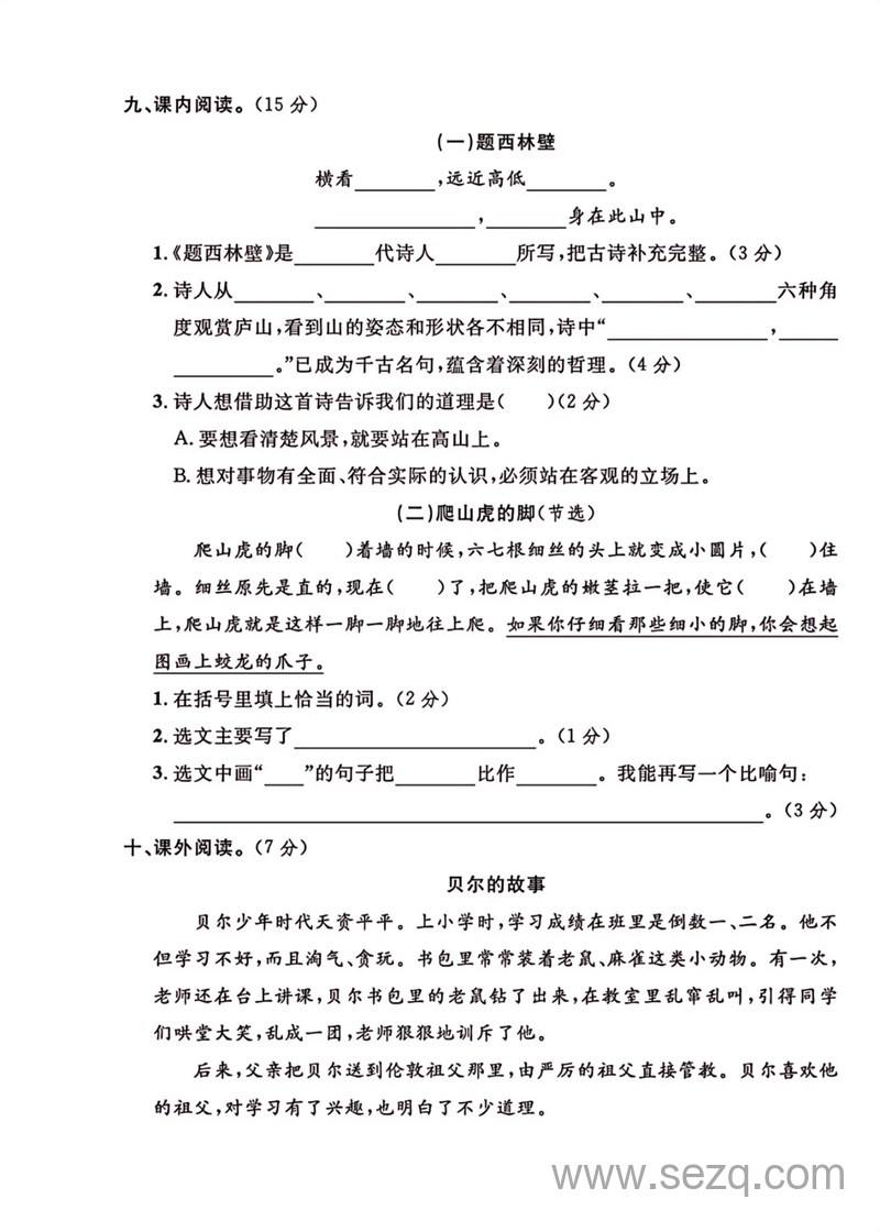 2024年四年级上册语文期中押题试卷 - 文档资源第3张