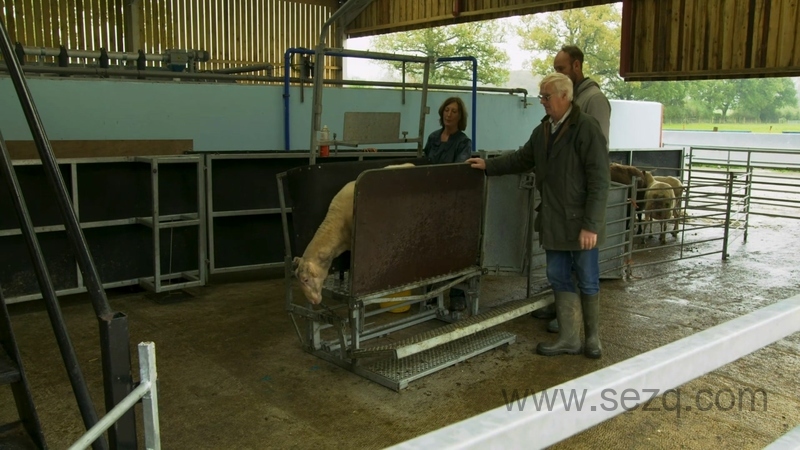 拖拉机泰德 - 动画资源画廊第9张