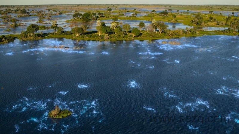 我们的生物世界 - 动画资源画廊第6张