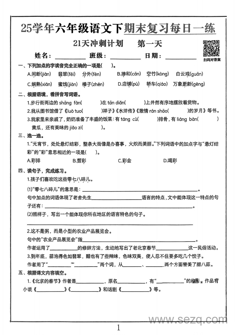 2025年六年级下册语文期末复习21天冲刺计划 - 文档资源第1张