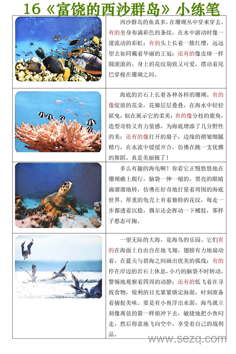 2025年三年级上册语文《富饶的西沙群岛》小练笔 - 文档资源第3张