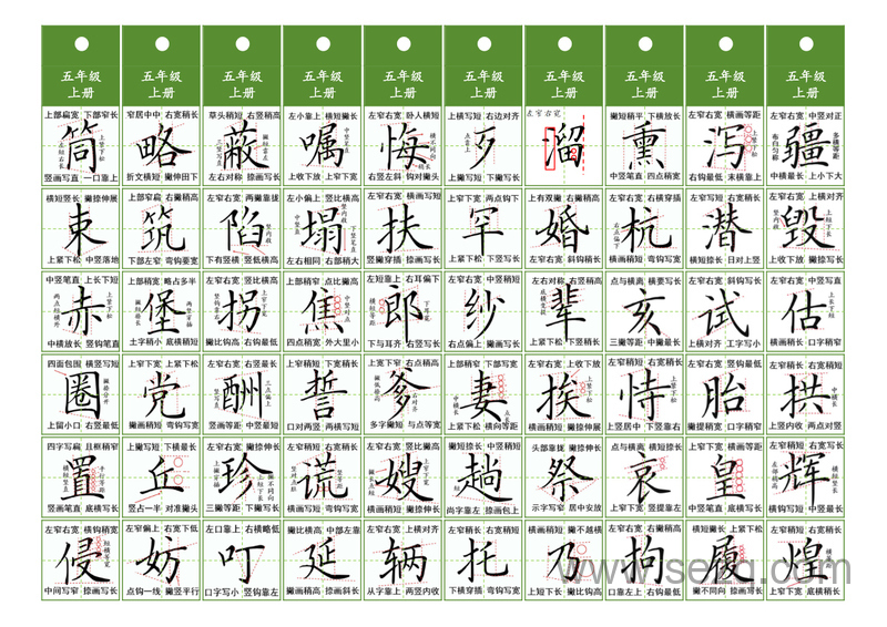 五年级上下册语文汉字书写同步精讲字卡 - 文档资源第2张