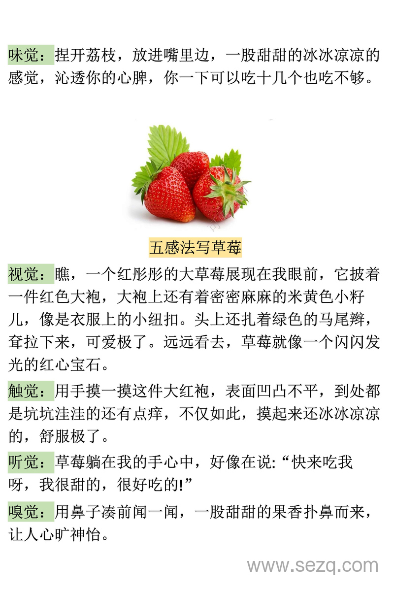 三年级上册语文五感法作文指导 - 文档资源第2张