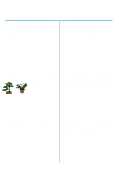 四年级上册数学历年期末常考题型40题(通用版含答案)(16页) - 少儿专区