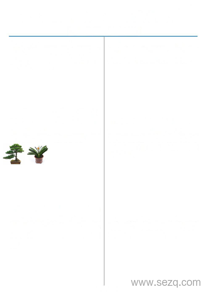 四年级上册数学历年期末常考题型40题（通用版含答案） - 文档资源第1张